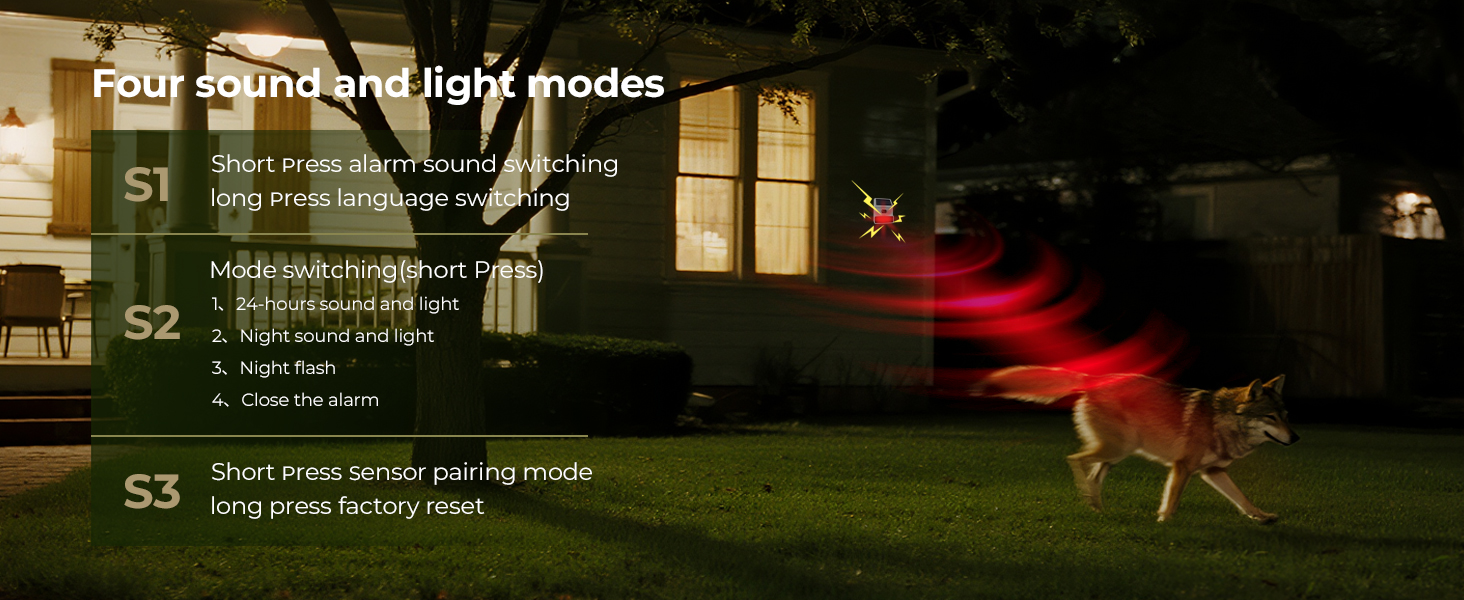 motion detector alarm