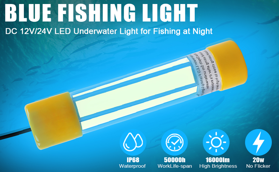 Shaddock Fishing 20W LED Underwater Deep Drop Blue Light at Night