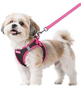 rabbitgoo Dog Harness Small Sized and Leash Set, Step-in Breathable Pet Harness, Soft Walking Ref...