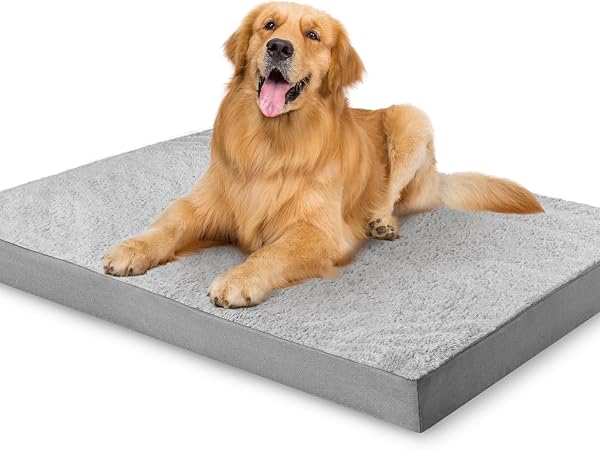 Orthopedic Dog Bed