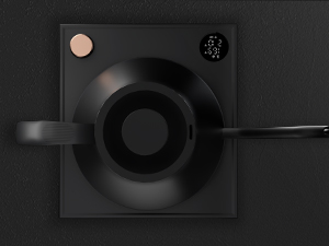 electric gooseneck kettle