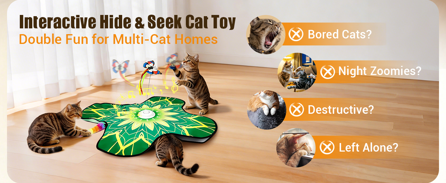 automatic cat toy