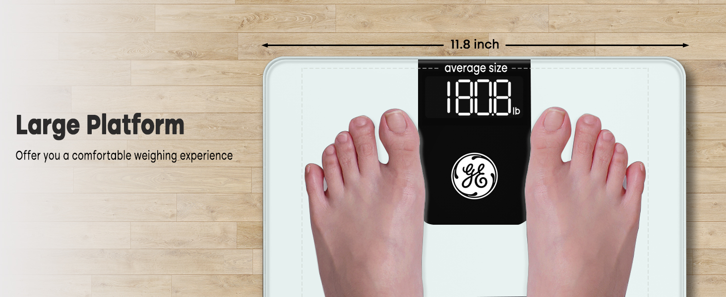 digital bathroom scale 500 lb
