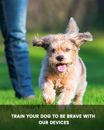 ABRKDOG Anti Barking Device, Multi-Functional Handheld Dog Barking