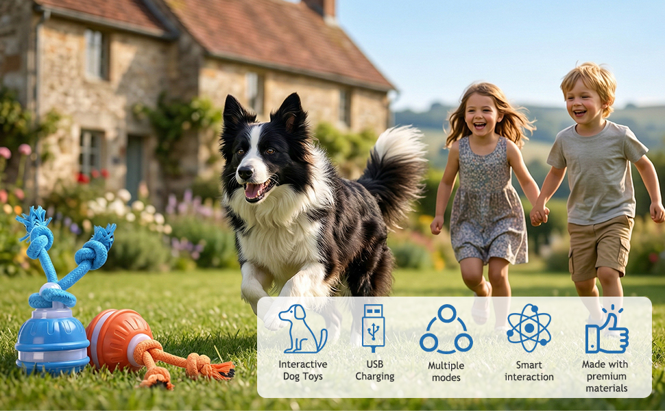 interactive dog toys