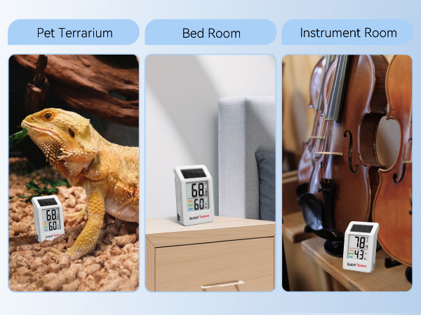 Bluetooth Thermometer