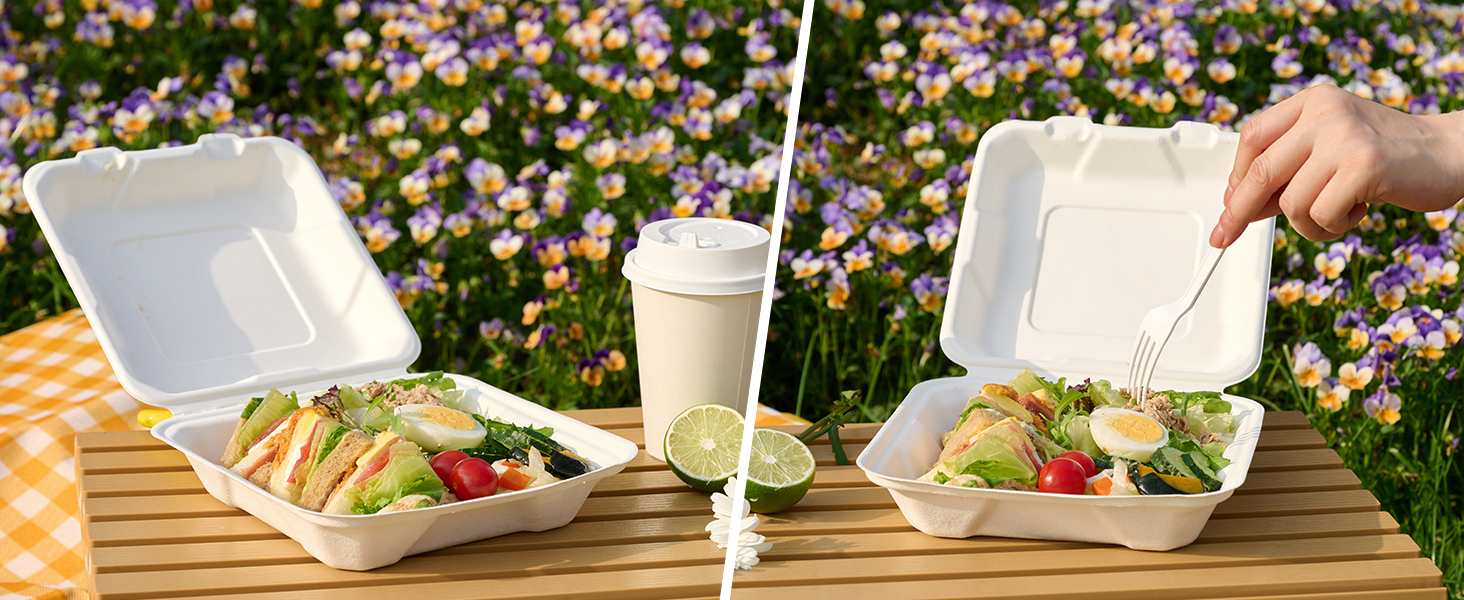 disposable food containers