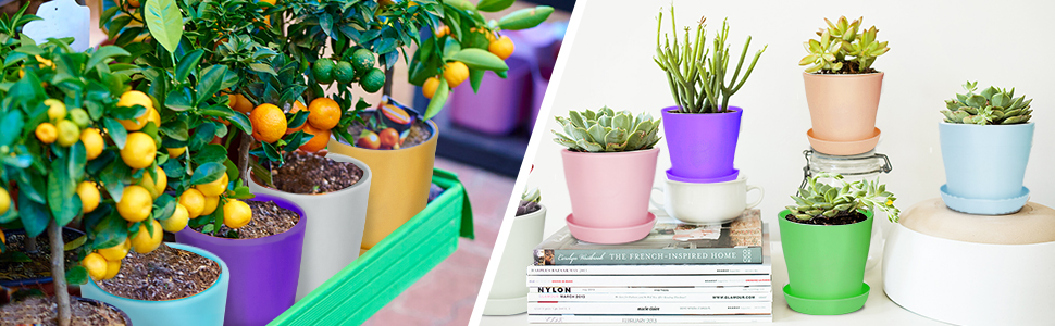 flower pots