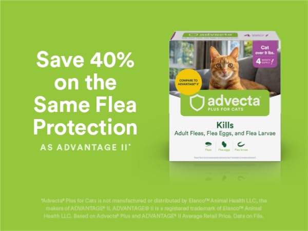 Save 40% on flea protection
