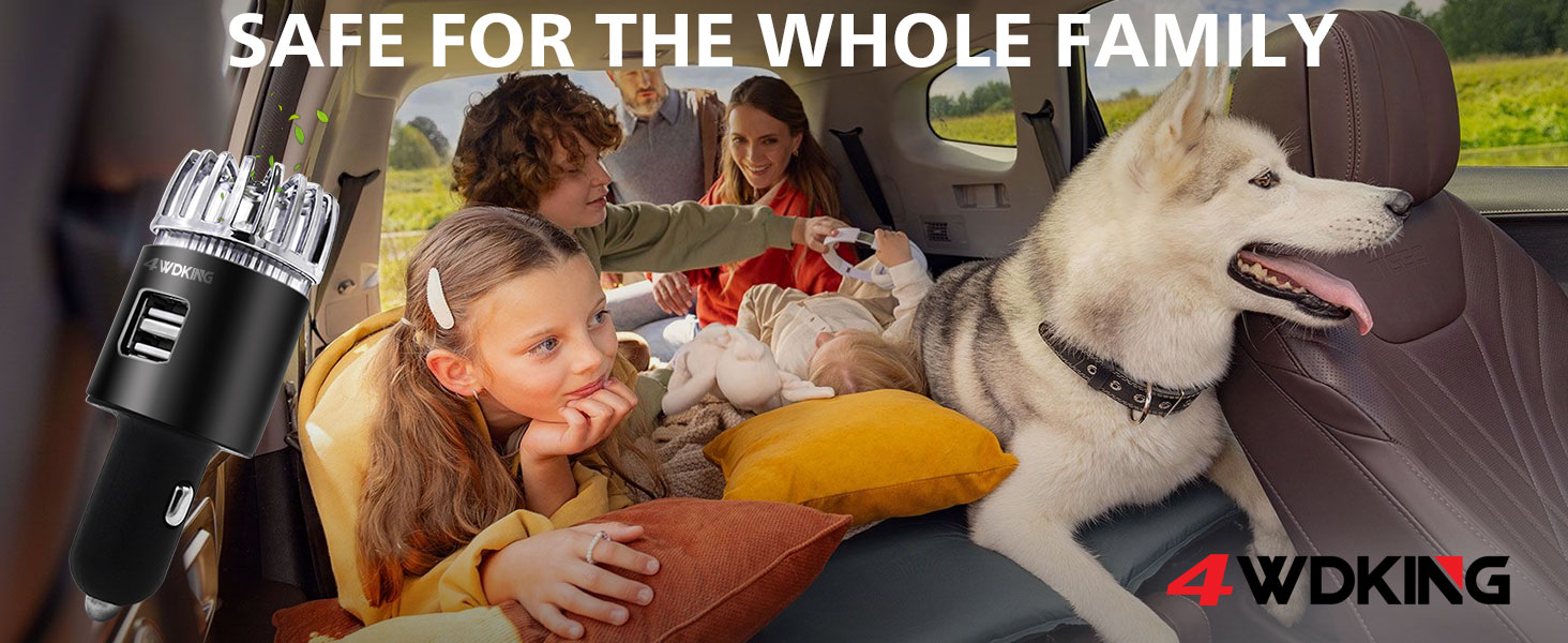 Ionic Ozone Car Deodorizer