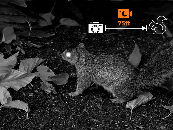 night vision 75ft