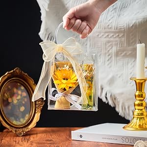 clear bags for gifts