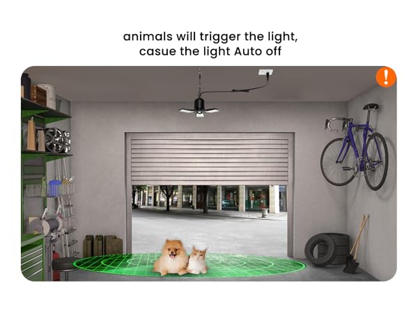 motion light indoor