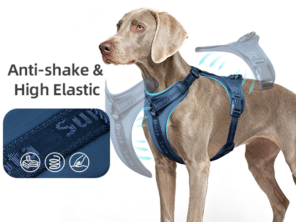 large dog harness