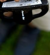 proplay