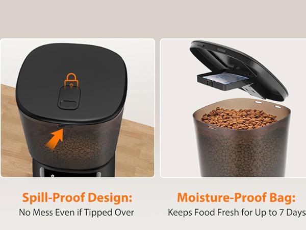 automatic feeder cat dry food