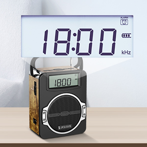 Digital Bluetooth AM FM Radio