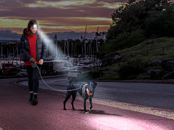 headlamp for dog walking