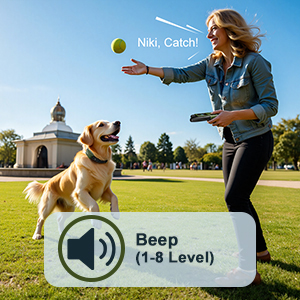 shock collar for dogs