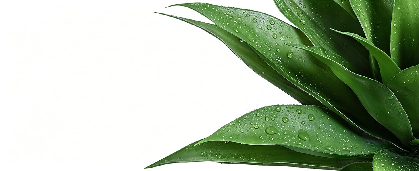 Artificial Agave Plant for Outdoors