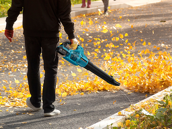 leaf blower