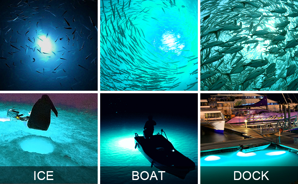 Shaddock Fishing 20W LED Underwater Deep Drop Blue Light for Ice Boat Dock Night Fishing