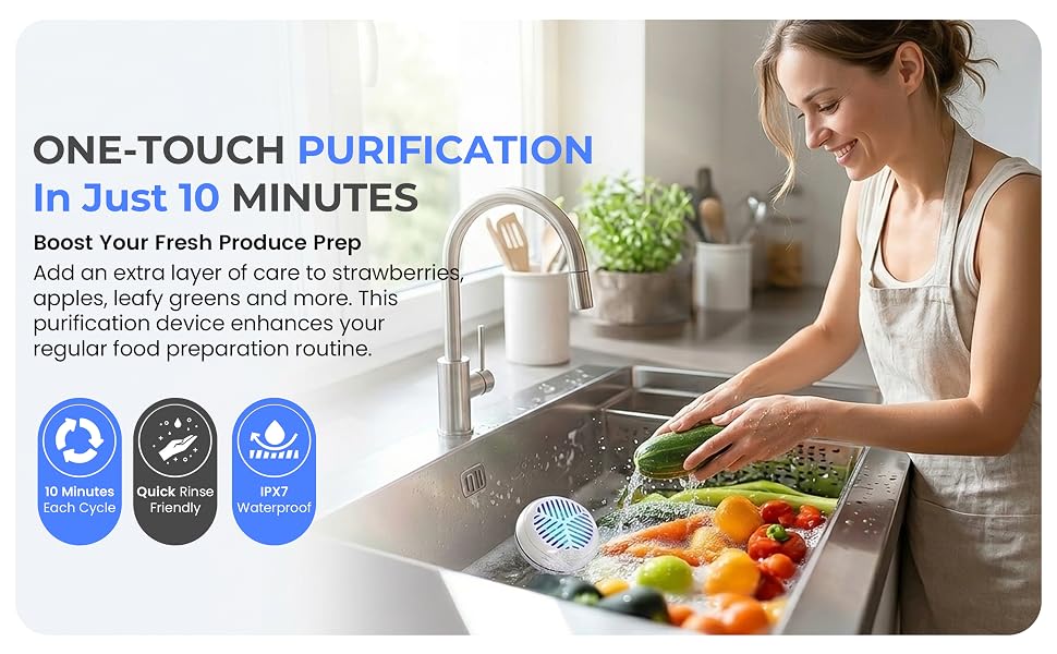 Food Purifier