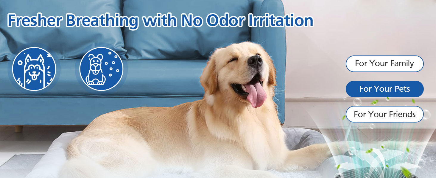 Core mini replacement filter