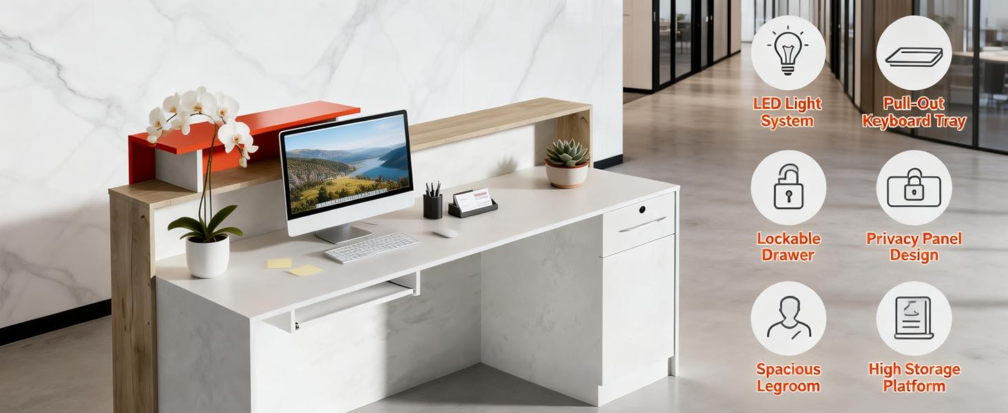 Modern Reception Desk with Counter