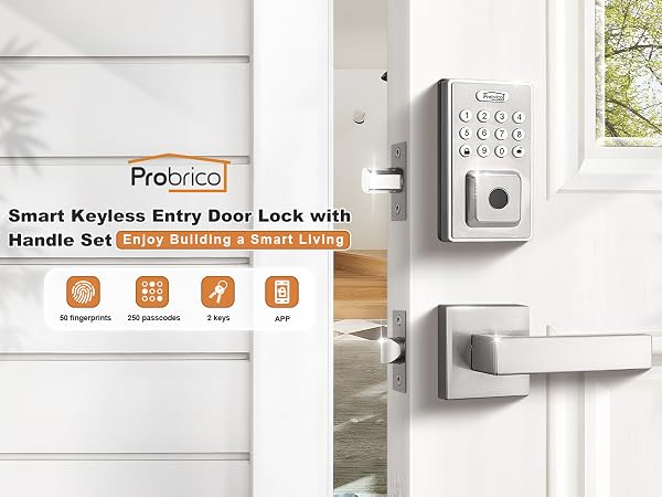 smart door lock with handle set