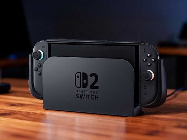 switch 2 dockable case