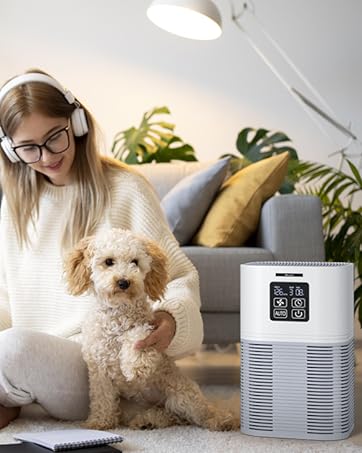 A1 Air Purifier
