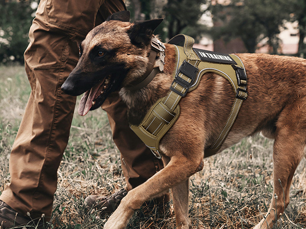 working dog harness brown