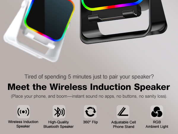 Wireless Induction Speaker