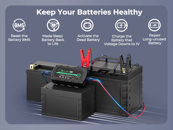 12V 1A LiFePO4 Battery Charger