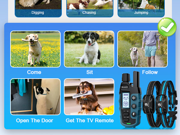 bousnic dog shock collar