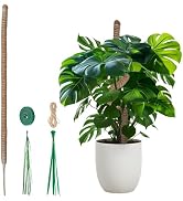 Mcbazel 47 Inch Moss Pole for Plants Monstera, Monstera Plant Support Stick, Bold Version Bendabl...
