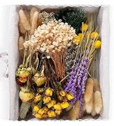 130Pcs DIY Mixed Natural Dried Flower Set, Preserved Flowers Bulk with Baby's Breath, Dried Roses...