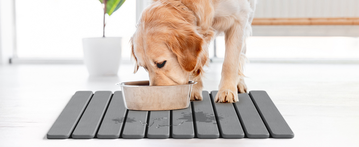 For Pet Feeding