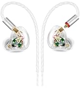 Vibes 202 Wired Earbuds - HiFi in Ear Monitor Headphones – Professional Noise Isolating Ear Buds ...