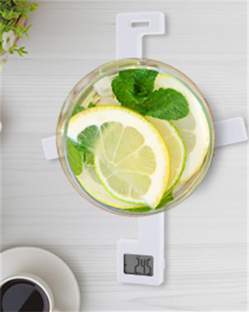 foldable kitchen scale
