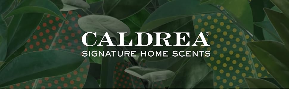 CALDREA