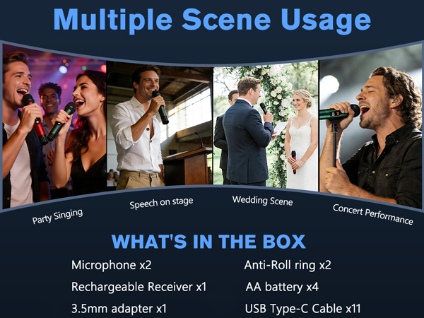 Wireless Microphone Karaoke Party Singing Church Speech