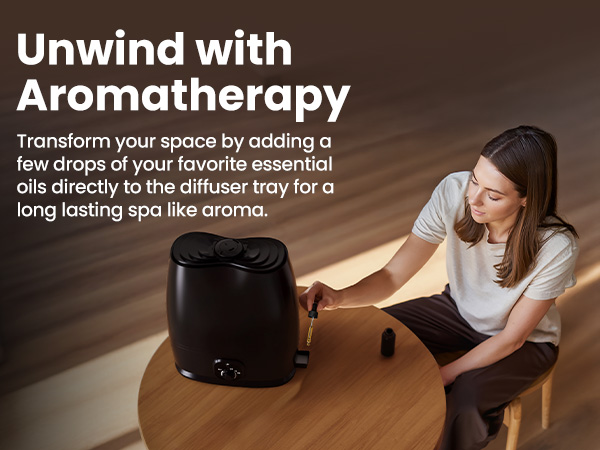 Everlasting Comfort 6L Humidifiers for Bedroom