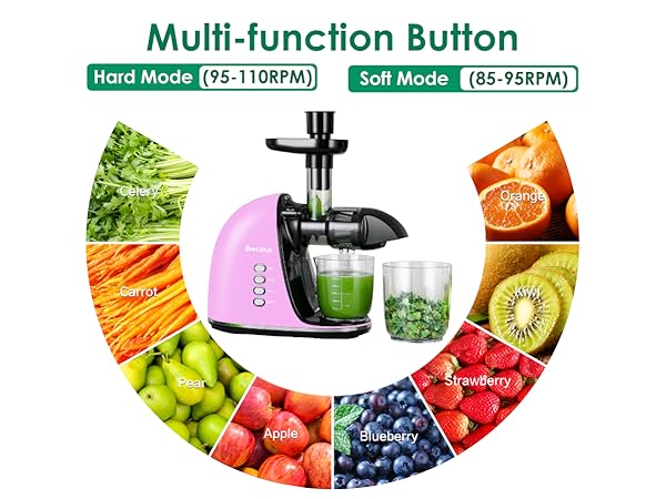 fruit masticating juicer