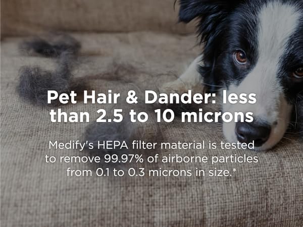 Pet Hair &amp; Dander