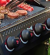 Feasto - Outdoor Gas Grill