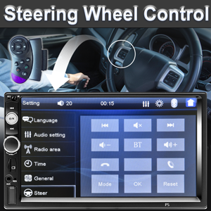 steering wheel control 