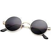 Pro Acme Small Round Polarized Sunglasses for Men Women Circle Retro Shades Metal Hippie Sunglass...