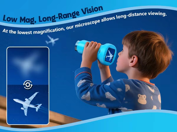at the lowest magnification allows long-range vision
